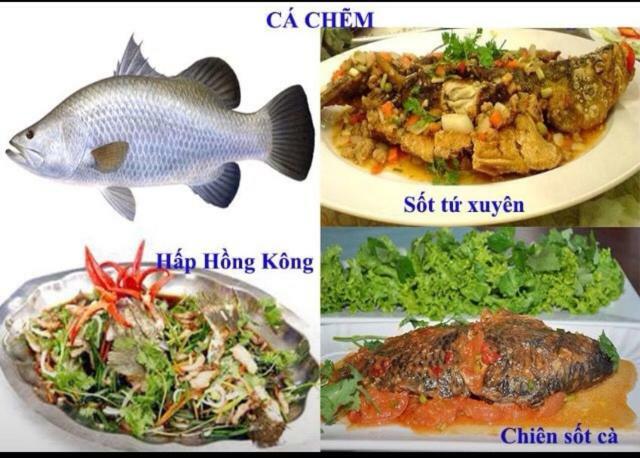 Khach San Thu Linh Hotell Thanh Hóa Exteriör bild